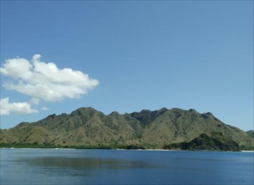 【コモド島】コモド島