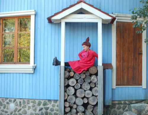 ムーミンの世界を楽しもう(C)VISIT FINLAND