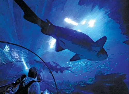 【クアラルンプール】ツインタワー近くにあるKLCC水族館/イメージ（(提供：マレーシア政府観光局)