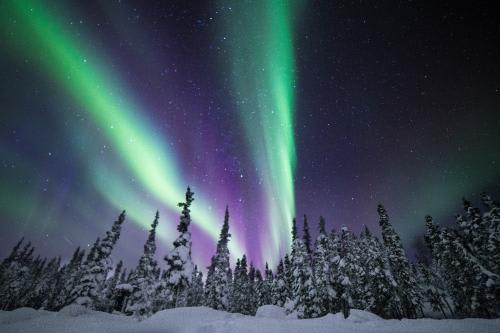 *オーロラ(Ｃ)Martina Gebrovska/Blachford Lake Lodge