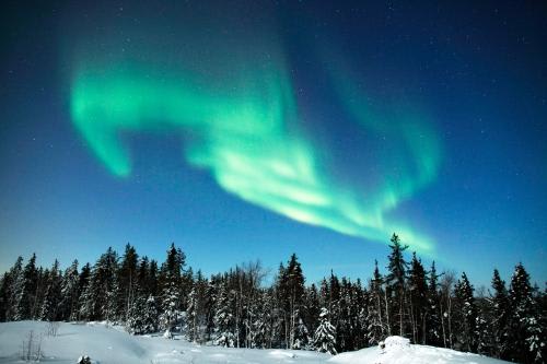 *オーロラ(Ｃ)CTC