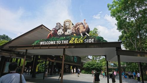 シンガポール動物園（社員撮影）