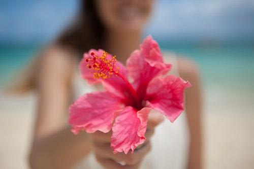 ハワイイメージ画像 (c)Hawaii Tourism Authority (HTA)  Daeja Faris