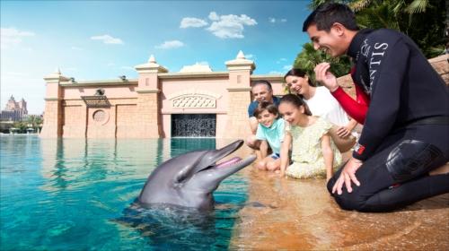【ドバイ】Atlantis The Palm Dolphin Bay イメージ (C)Atlantis The Palm