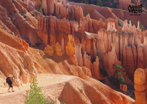 *ブライスキャニオン国立公園　画像提供:AQUA VEGAS