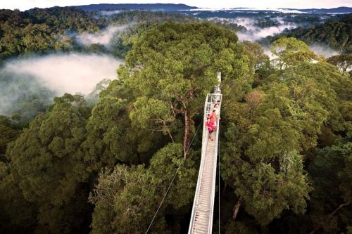 熱帯雨林を満喫できる ウル・テンブロン国立公園/Photo by Royal Brunei Airline