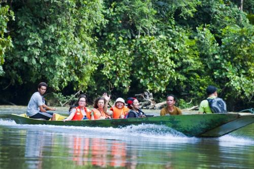 マングローブクルーズ(イメージ)/Photo by Royal Brunei Airline