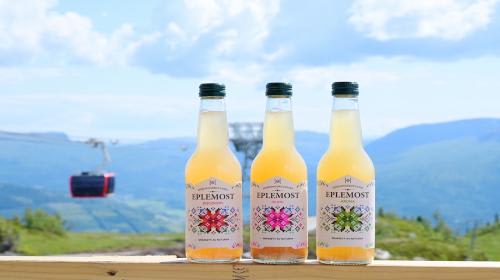 【ヴォス】ノルウェー産アップルジュース