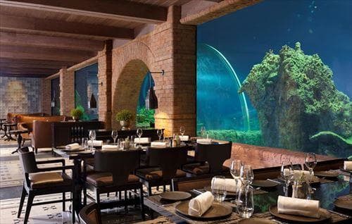 【ジ アプルヴァ ケンピンスキー】バリ島唯一の水族館レストラン