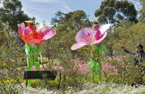 ≪パース≫キングスパークフェスティバルの様子(C)Botanic Gardens & Parks Authority
