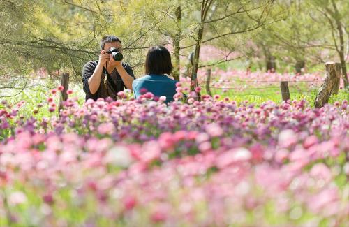 ≪パース≫花と緑ののどかな公園キングスパーク(C)Botanic Gardens & Parks Authority