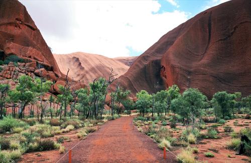 ≪エアーズロック≫ウルルの麓を散策（C)Tourism Australia