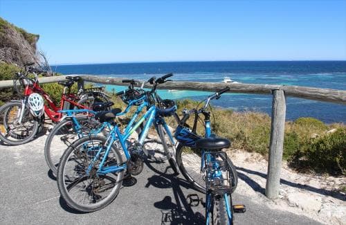 ≪パース≫レンタルバイクでロットネスト島を移動！(社員撮影)