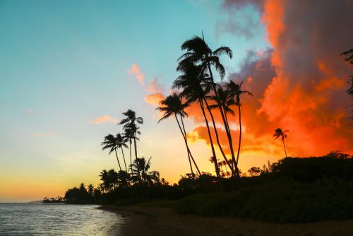 ハワイイメージ画像　夕焼けと深緑の対比が美しいハワイのビーチ