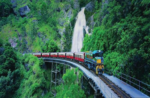 ≪ケアンズ≫世界最古の熱帯雨林を文化財に指定されている列車で旅を