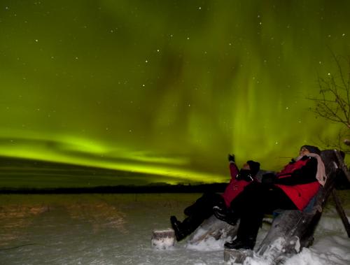 *感動のオーロラをホワイトホースで　(C)Northern Tales Travel Services/Stefan Wackerhagen