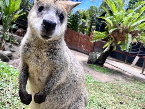 動物園では間近に触れ合える♪《社員撮影》