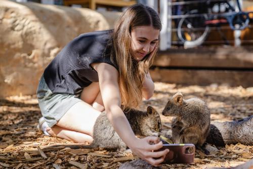 クオッカワラビーと記念撮影！「クオッカセルフィー」(C)Tourism Australia