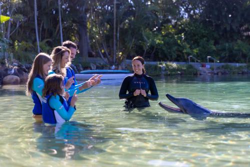 可愛いイルカたちに癒されること間違いなしです！(C)Tourism Australia