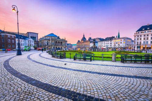 【コペンハーゲン】緑や街並みが楽しめるコンゲンス・ニュートー広場