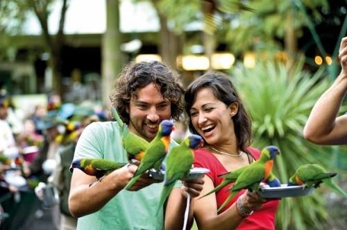 カランビン動物園でカラフルなインコ達に餌付け体験！