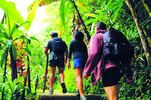 【バグースジャティ】ジャングルトレッキング/イメージ