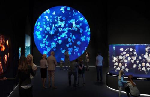 【シンガポール・オーシャナリウム】イメージ(2)