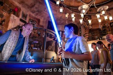 カリフォルニア　ディズニーランド・リゾート／イメージ