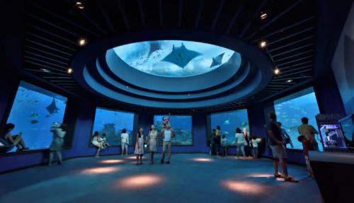 【リゾーツワールドセントーサ】水族館/イメージ