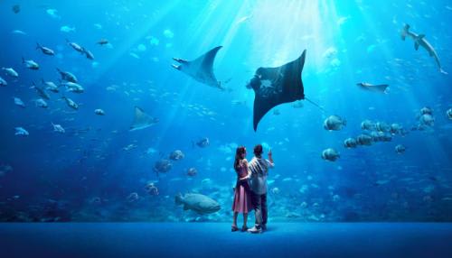 【オーシャナリウム】イメージ