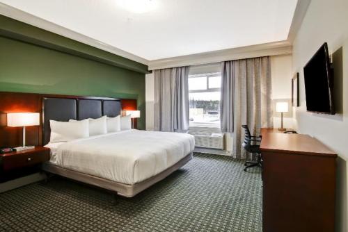 【イエローナイフ】シャトー ノヴァ イエローナイフ／イメージ (C)ベッツオンライン