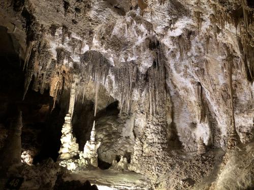 【アルバカーキ】世界遺産カールスバッド／イメージ3