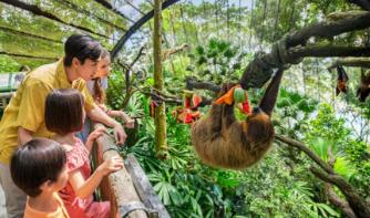シンガポール動物園(イメージ)
