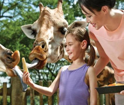 シンガポール動物園1(イメージ)