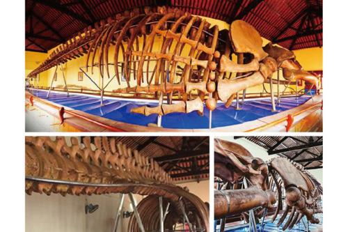 ヴァン トゥイ トゥ宮殿（イメージ）