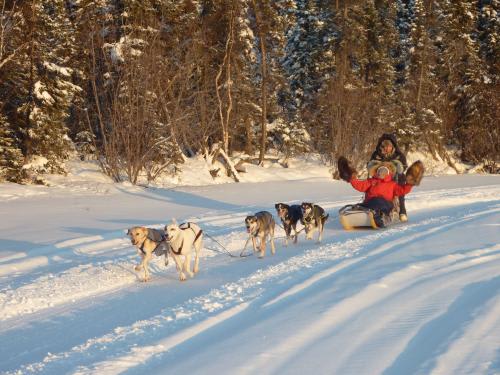 【イエローナイフ】犬ぞり体験／イメージ(C)TRANS ORBIT CANADA TOURS