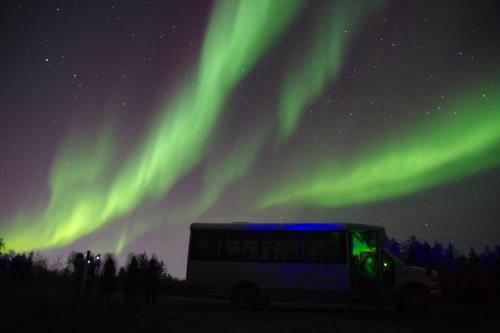 【イエローナイフ】夏のオーロラ／イメージ(C)TRANS ORBIT CANADA TOURS