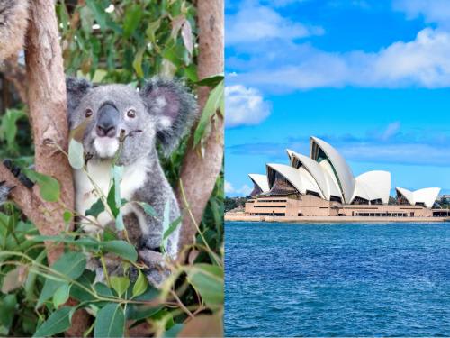 オーストラリア王道2都市を周遊♪