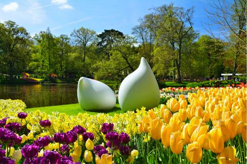 【アムステルダム近郊】キューケンホフ公園/イメージ