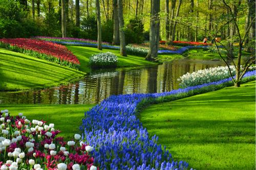【アムステルダム近郊】キューケンホフ公園/イメージ