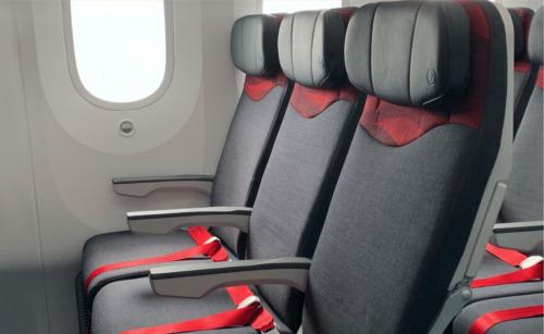 【ターキッシュエアラインズ】B787-900 エコノミークラス 座席イメージ／(C)Turkish Airlines