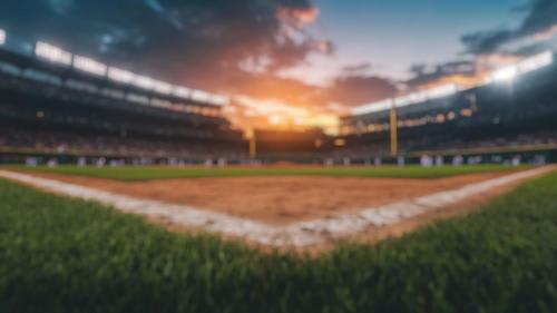 熱狂的な本場のベースボールを体感！／イメージ