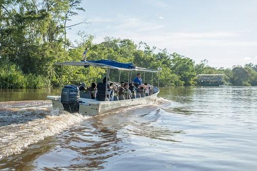 【コタキナバルオプショナルツアー】リバーサファリ/イメージ
