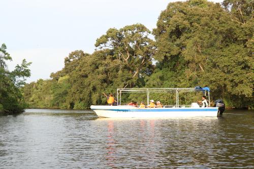 【コタキナバルオプショナルツアー】リバーサファリ/イメージ