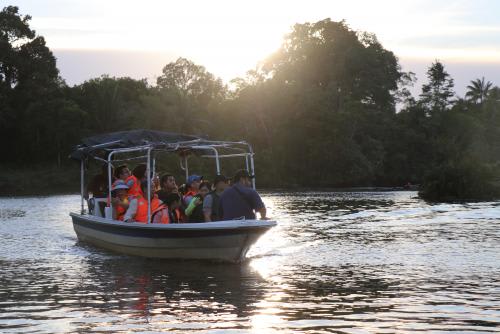 【コタキナバルオプショナルツアー】リバーサファリ/イメージ