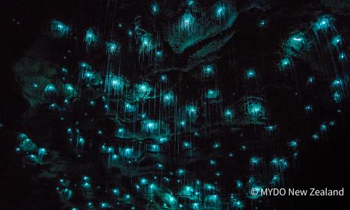 ブラックウォーターラフティングツアー/イメージ (C) MYDO New Zealand