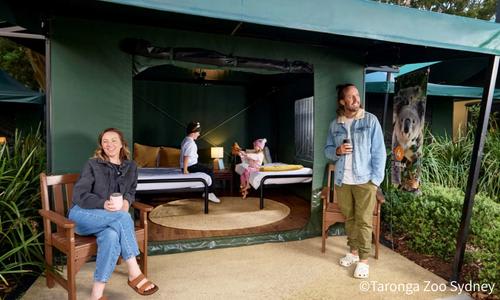 タロンガ動物園「Roar and Snore」2～4名用テントイメージ