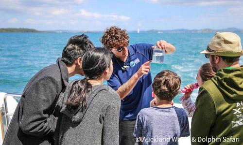 海洋生物サファリクルーズ/イメージ (C) Auckland Whale & Dolphin Safari