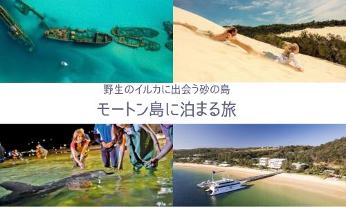 【モートン島】宿泊ツアー