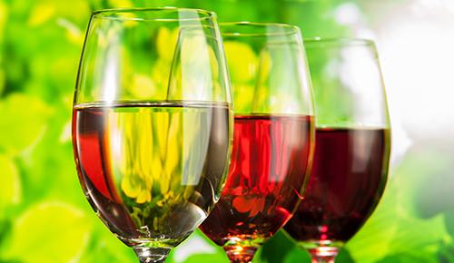 *ナパバレーでワインを楽しもう♪